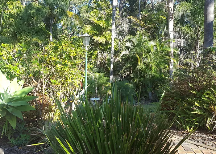 Sanctuary Resort & Treehouse Restaurant