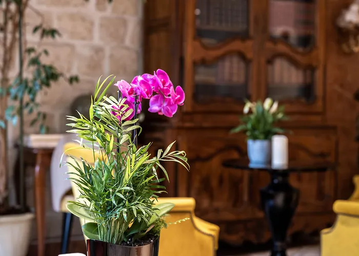 Hotel Minerve