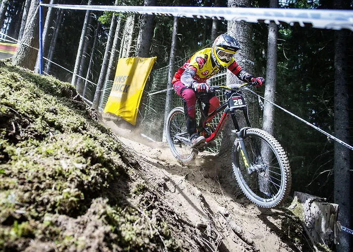 Hotel Grauer Bär