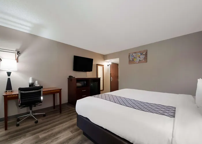 Surestay Plus Hotel By Best Western San Antonio North