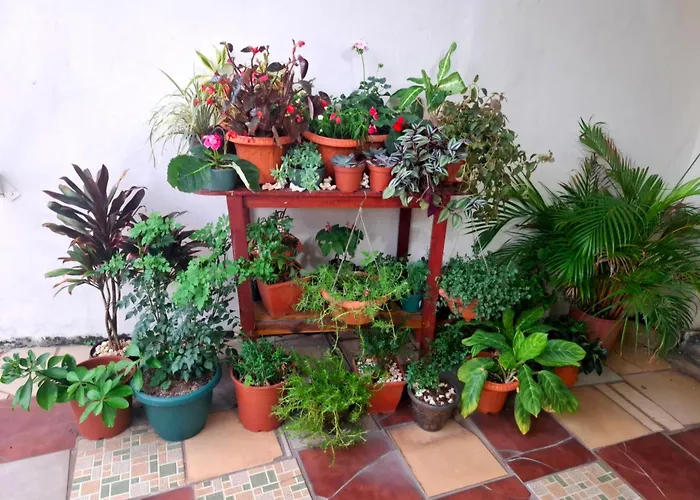 Hostel Del Pacifico Habitaciones Con Bano Privado Y Aire Acondicionado