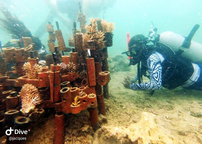 Beqa Lagoon Resort
