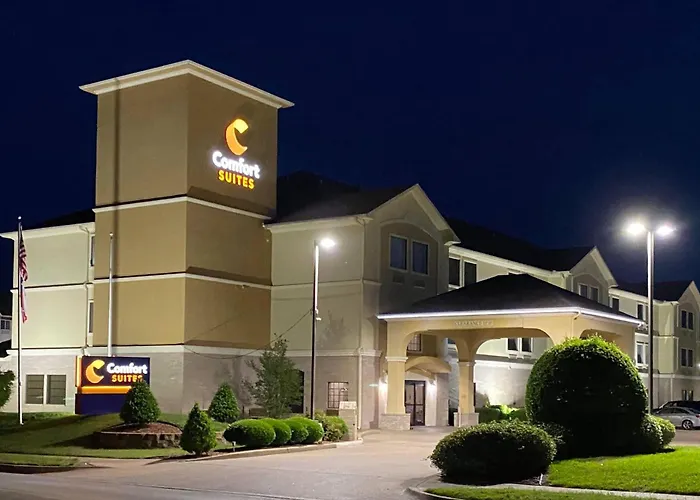 Comfort Suites Tyler South