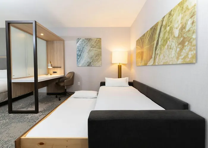 Springhill Suites By Marriott Austin Cedar Park