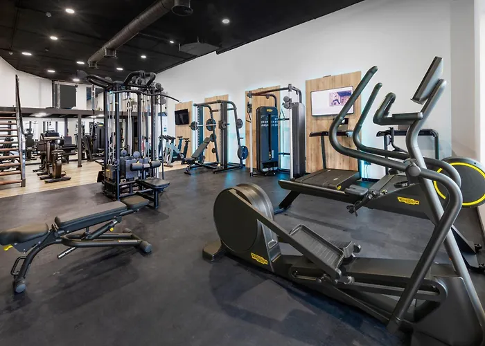 Melia Sierra Nevada