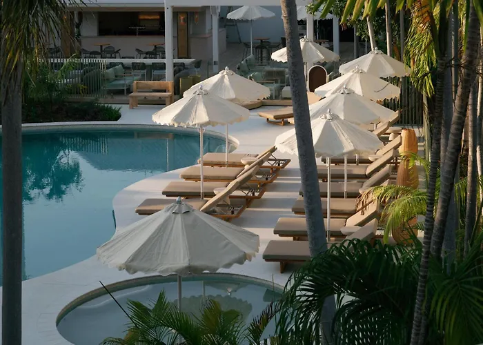 The Leea, Darwin