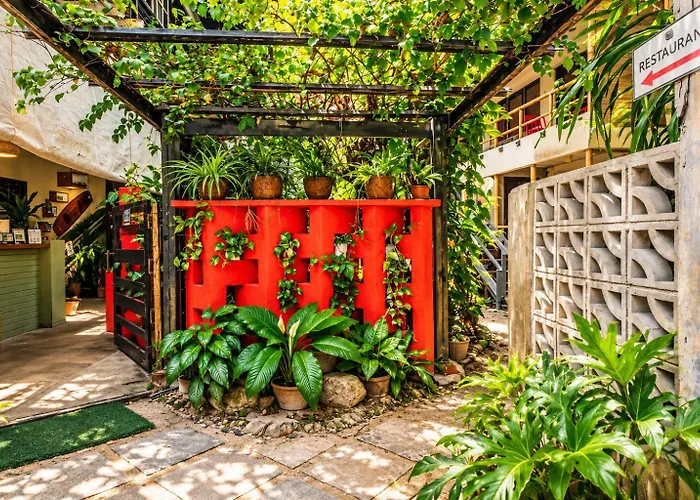 Lazy Dog Bed & Breakfast
