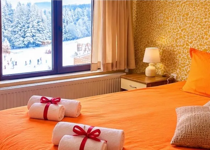 Hotel Forest Star On The Ski Slope