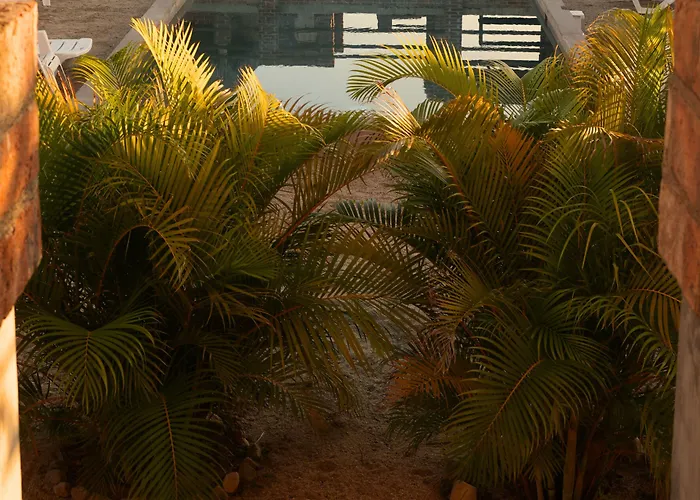 Cerritos Baja Eco Pet Friendly Boutique Stay