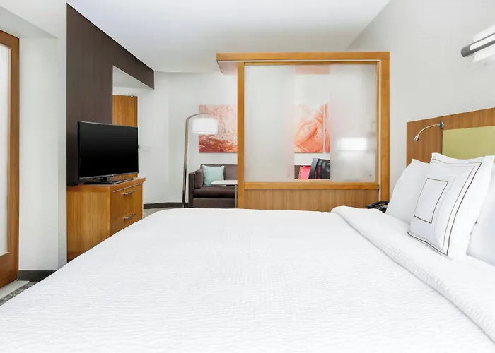 Springhill Suites By Marriott San Diego Mission Valley