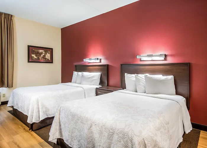 Red Roof Inn Plus+ South Deerfield - Amherst