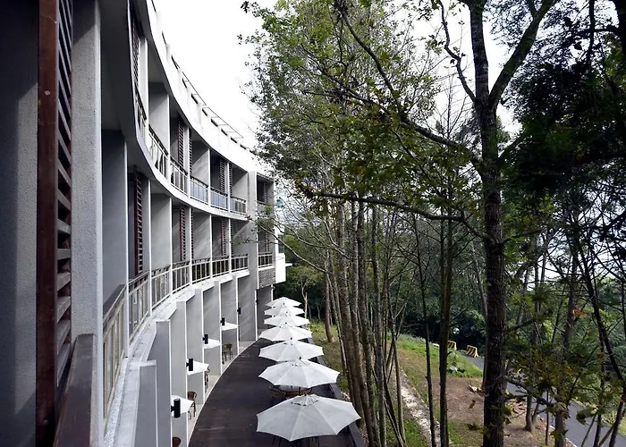 Sun Moon Lake Bamboo Rock Garden