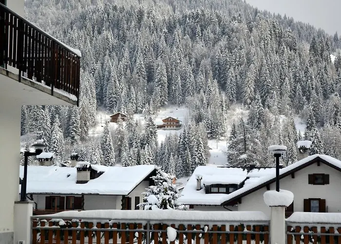 Hotel Pineta