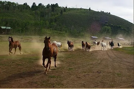Parade Rest Ranch