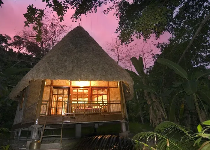 The Barefoot At Havelock