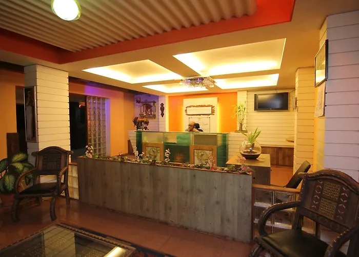 Mount View Executive
