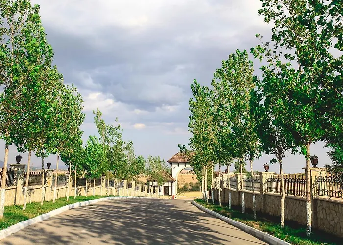 Sakit Gol - Silent Lake Hotel