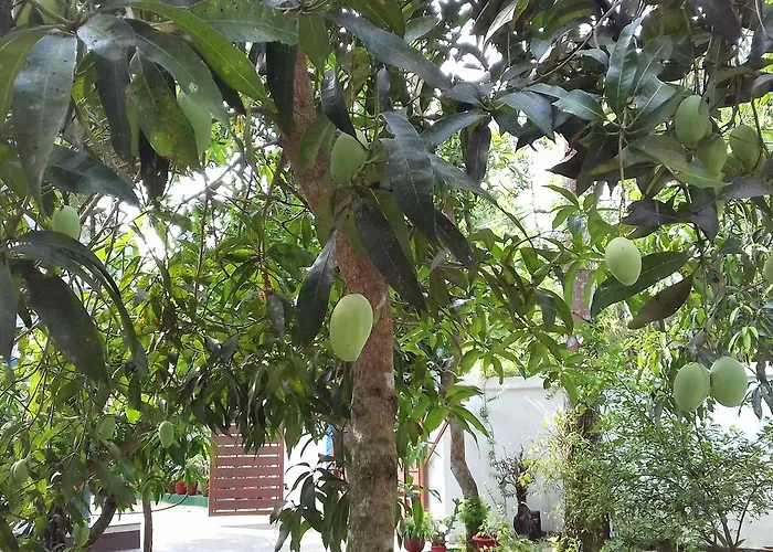 Marari Coastal Dreams Home Stay