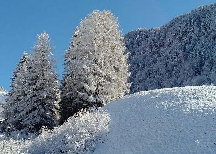Garni Waltoy