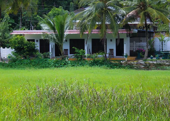 Paddy Field View Resort