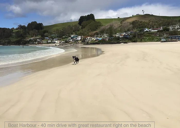 Penguin Seaside Homestay