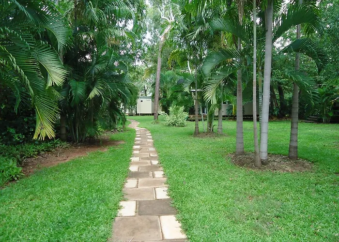 Pandanus On Litchfield