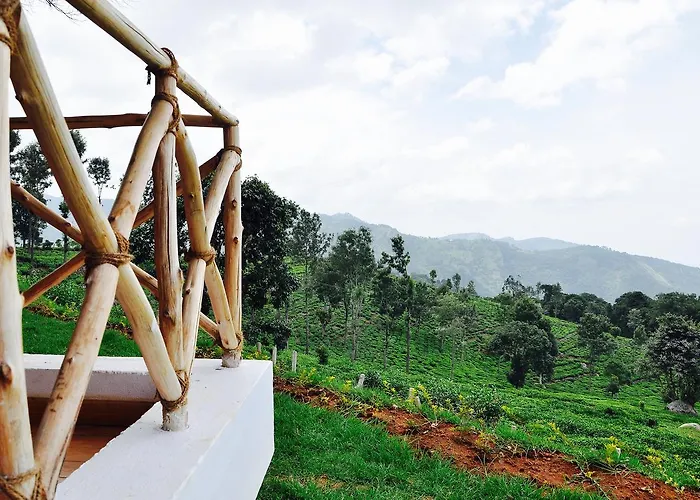 Hanging Huts Resorts