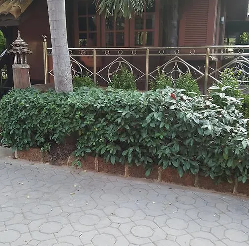 Ruean Mai Chai Khlong
