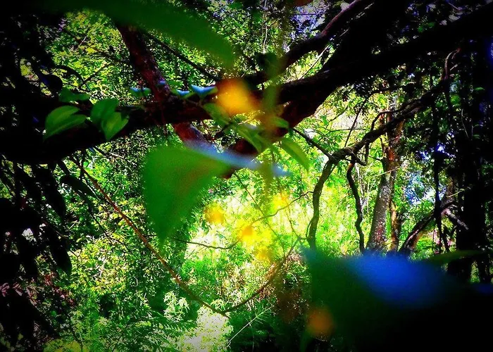Samadhi Nature Resort