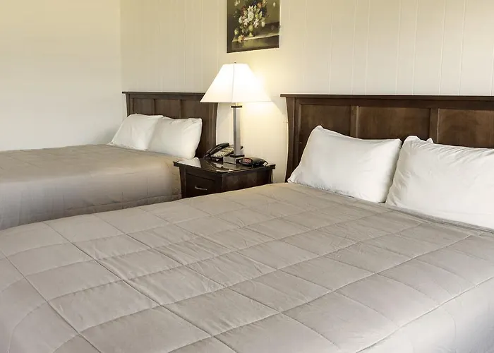 Copley Lareine Motel
