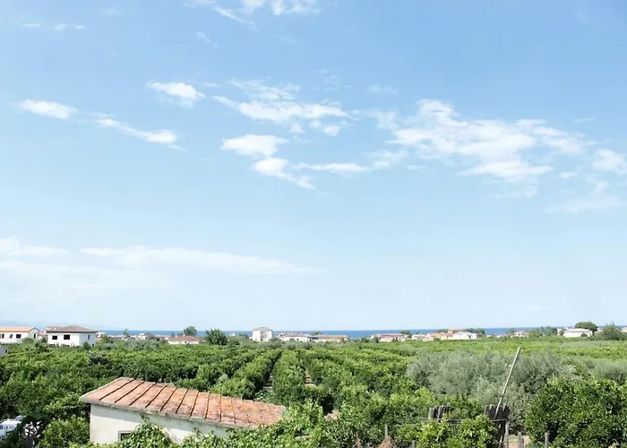 Profumo di Zagara