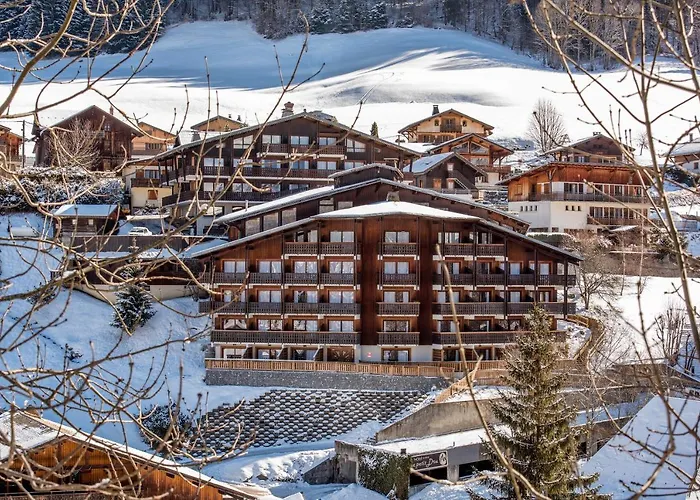 Hotel Le Petit Dru