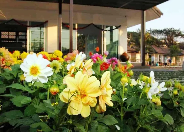 Chiangrai Green Park Resort