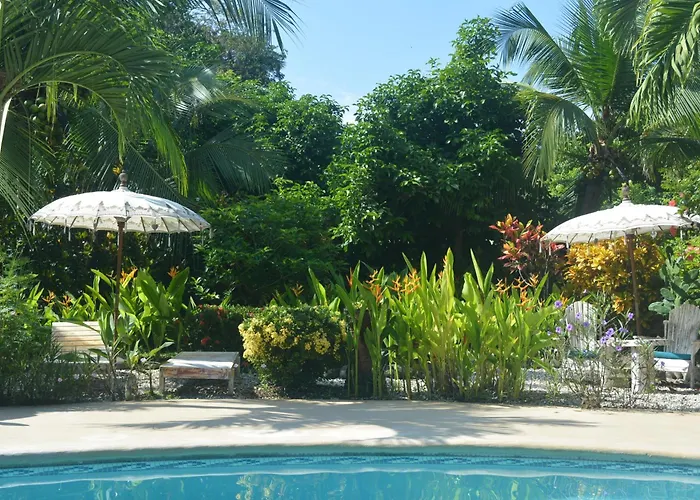 Indigo Yoga Surf Resort