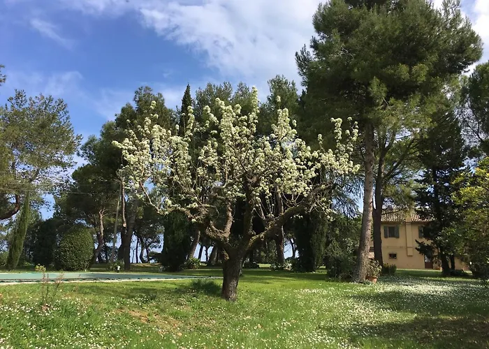 Il Colle Delle Terrazze