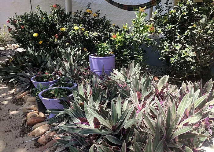 B&B Chale Jardins