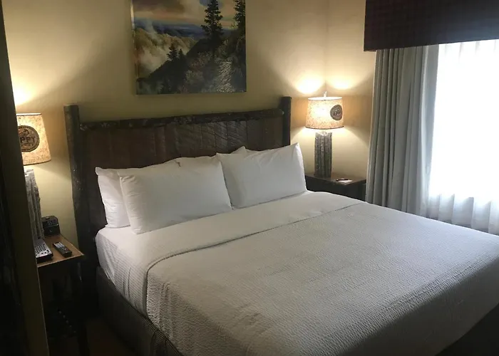 The Appy Lodge
