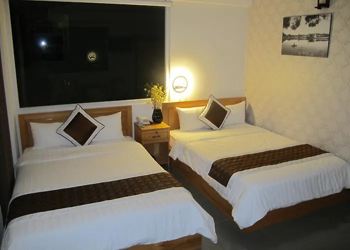 Mr Rot's Secret Hotel