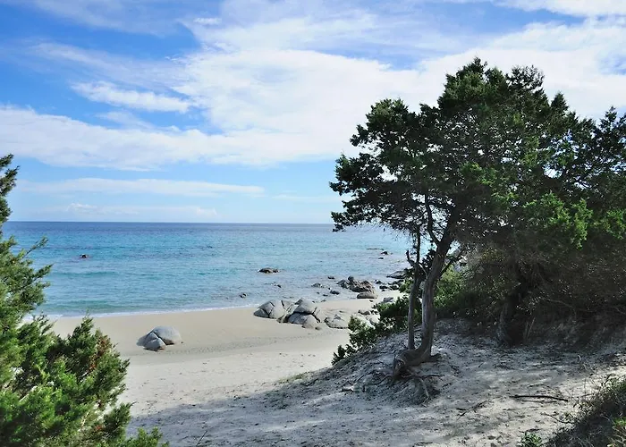 Bed&Breakfast La Pavoncella