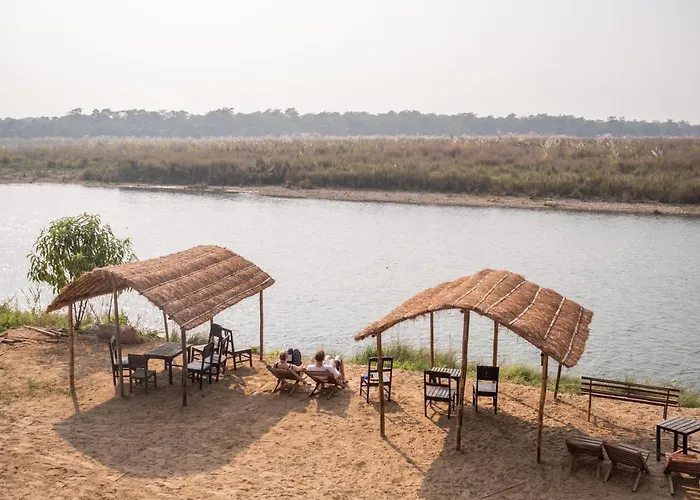 Jungle Wildlife Camp