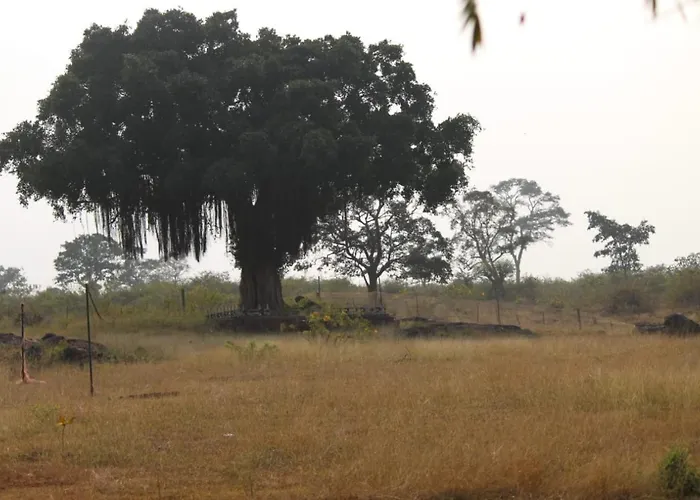 Aarraams Farms & Resorts
