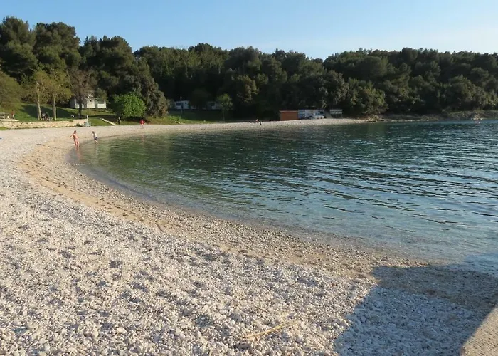 Pineta25
