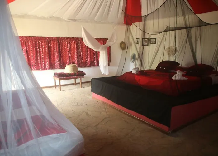 Gecko Nature Lodge Home Of Swahili Divers The Best Dive Center And Famous Gecko Restaurant