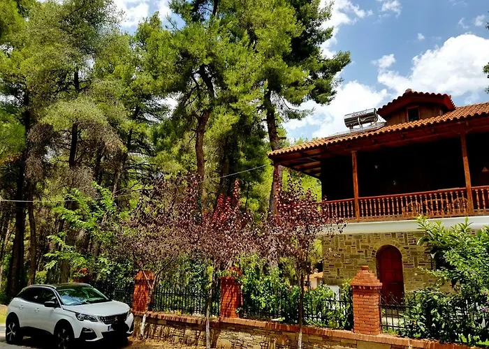 Wood And Stone Villa