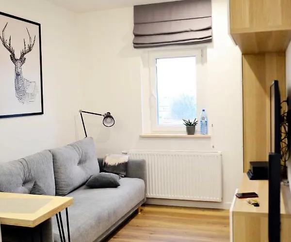 Studio 4 Pietro