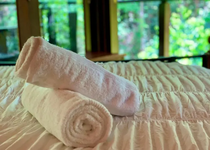 Cairns Rainforest Retreat