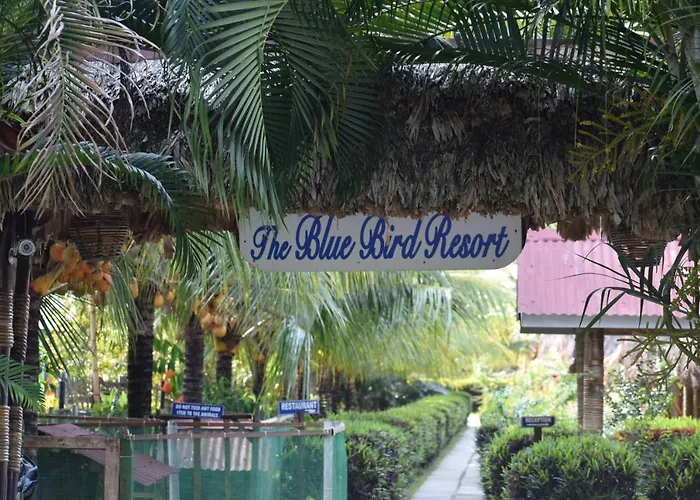 Blue Bird Resort