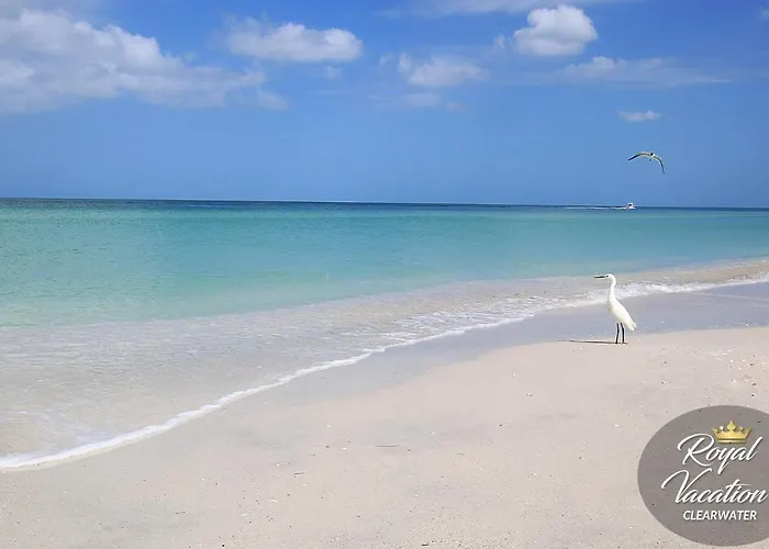Royal Marina At Avalon Clearwater - Pool & Free Parking - 10 Min Drive To Clearwater Beach