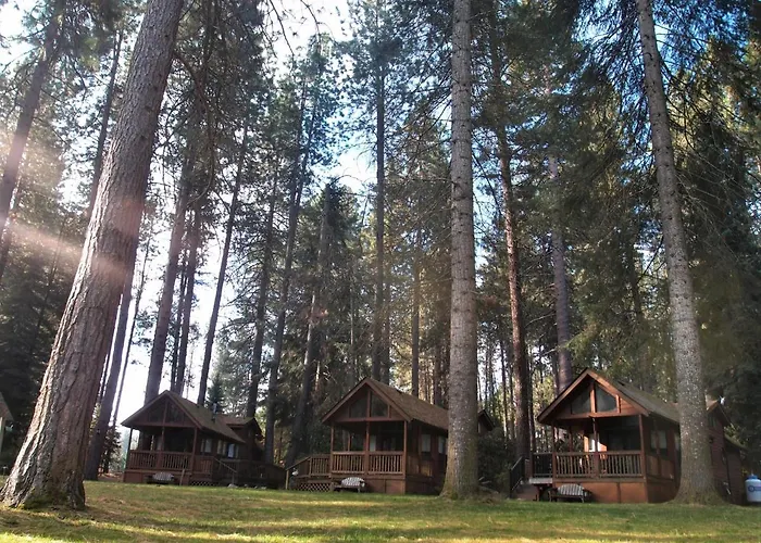 Cold Springs Resort